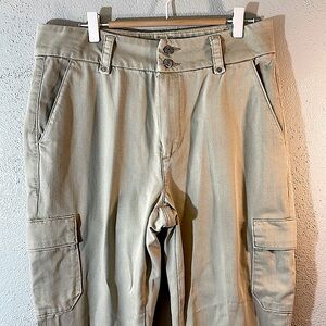 PAIGE Dion Cargo Utility Flare Structured High Rise Pant Pockets Sz 29 Urban